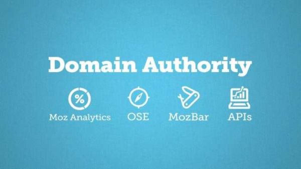 domain-authority-pbn