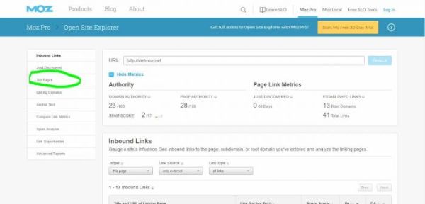 enter-domain-in-Moz